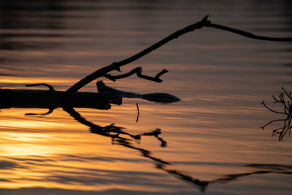 Startbild für die Galerie Stimmungen